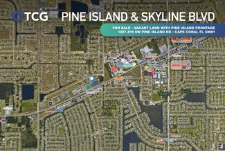 Cape Coral, FL Commercial Land - 1027-815 SW Pine Island Rd
