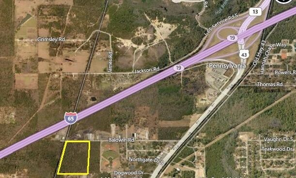 Baldwin Rd, Satsuma, AL for Sale
