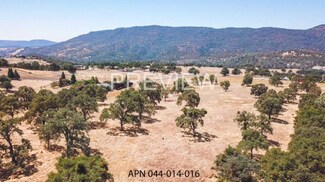 San Andreas, CA Commercial Land - 0 Buckskin