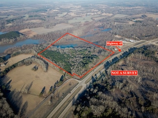 Saltillo, MS Commercial - Highway 45 S