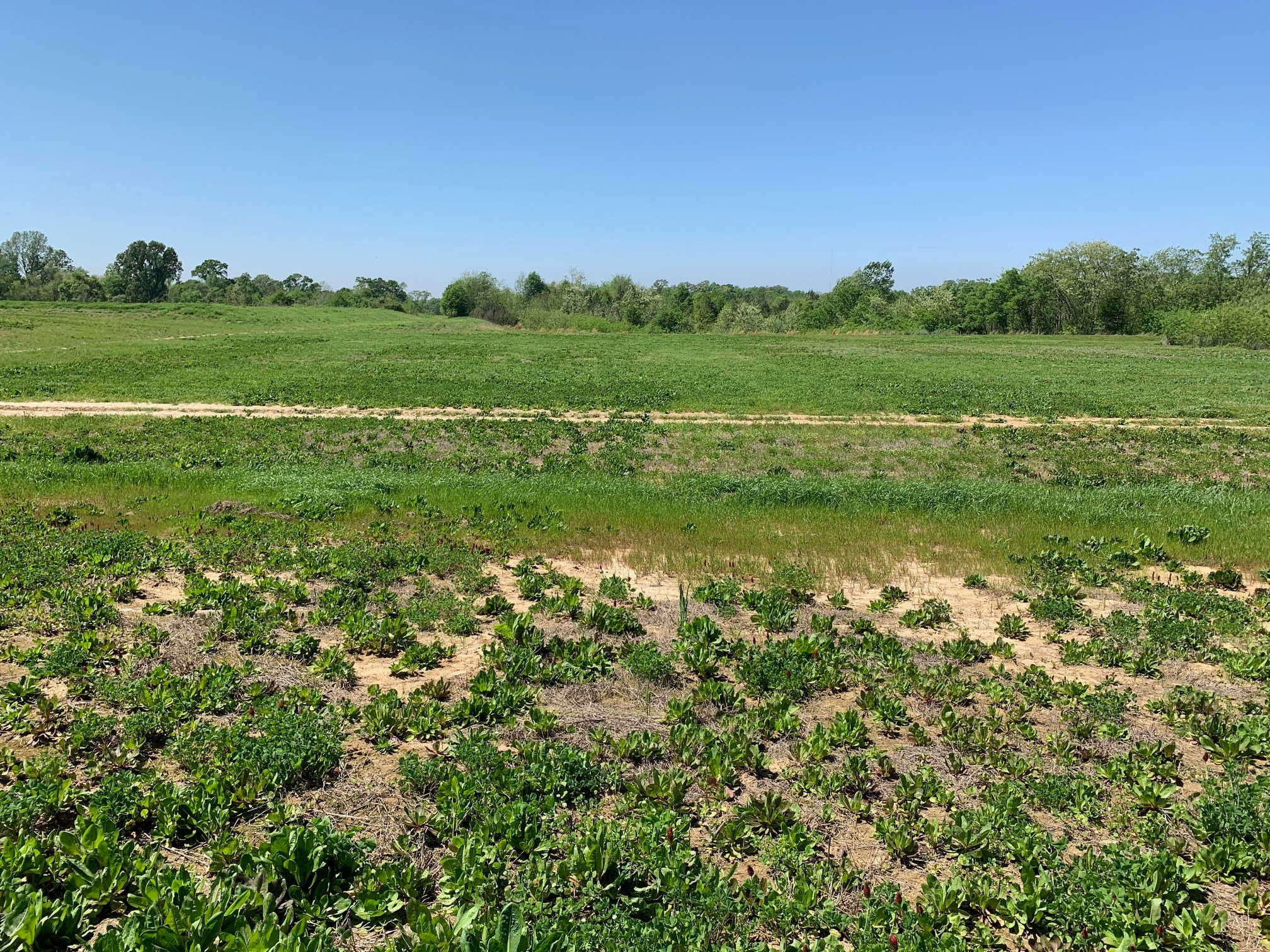 000B-3A Highway 61, Natchez, MS for Sale