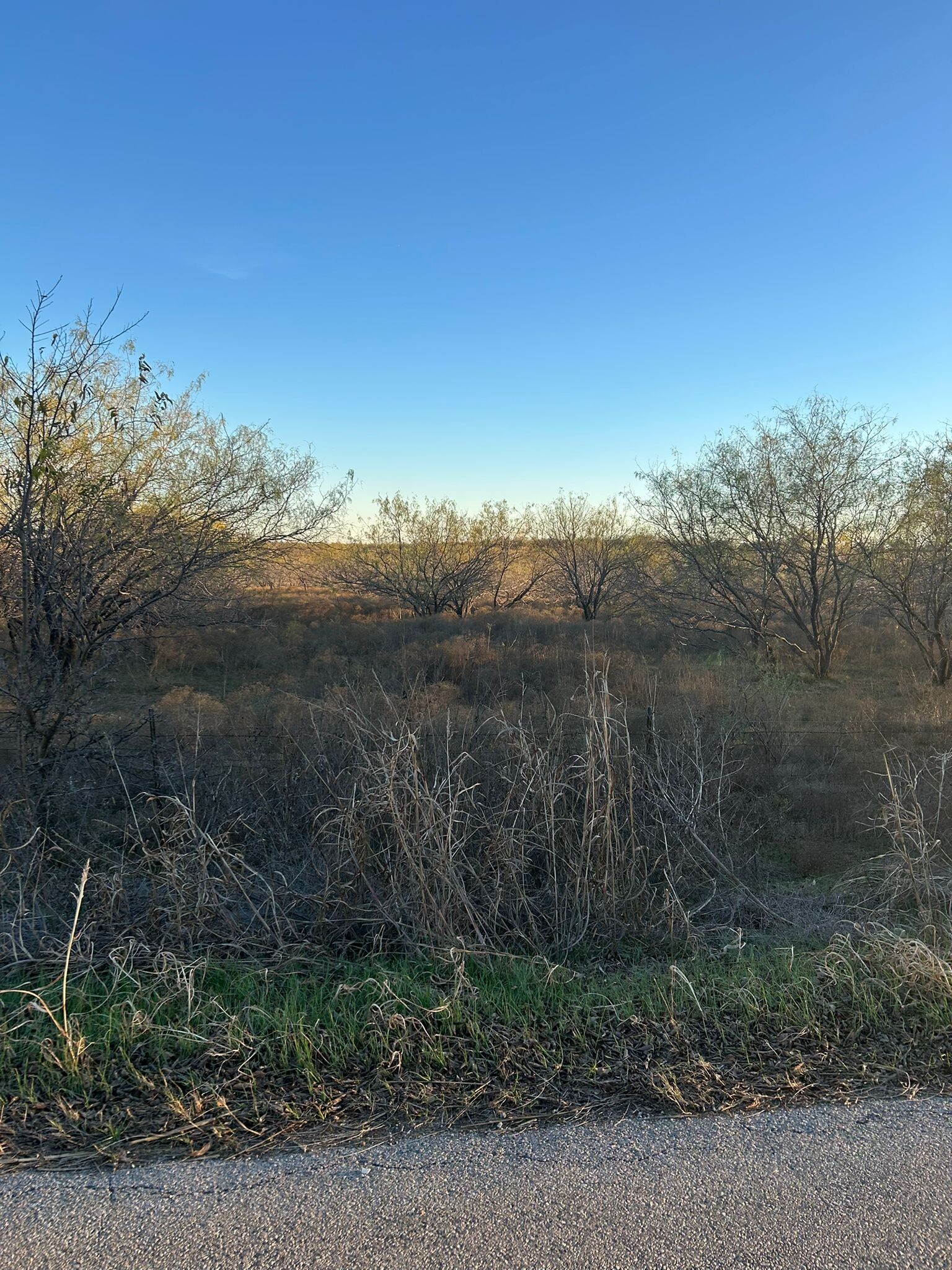 13762 County 108 rd, Venus, TX for Sale