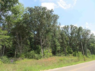 Cordova, TN Commercial Land - Houston Levee Rd @ Pisgah
