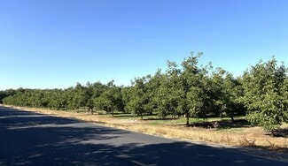 Linden, CA Agricultural - 2150 N Fine Road