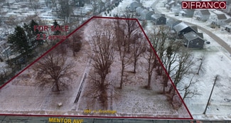 Mentor, OH Commercial Land - 7144 Mentor Ave Mentor, OH Commercial Land - 7144 Mentor Ave