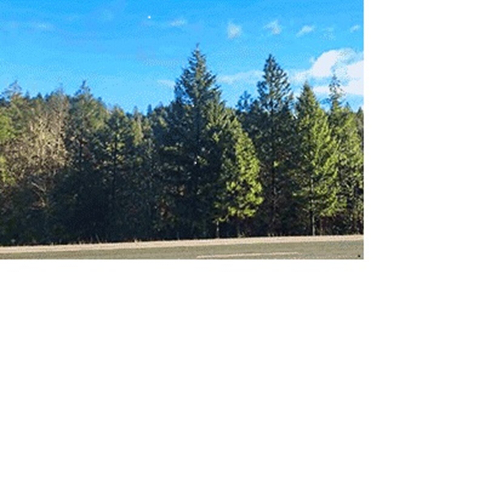 Redwood HIghway, Selma, OR for Sale