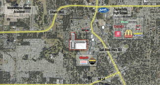 Zephyrhills, FL Residential - 5829 Wilson Dr