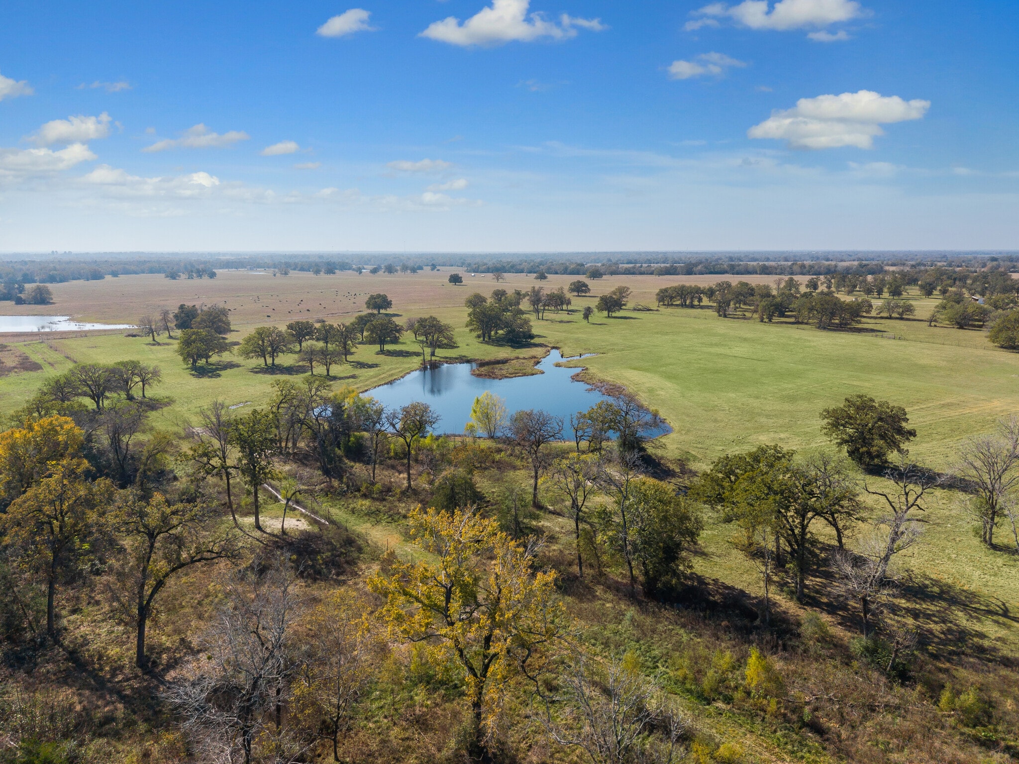 4835 FM 1452 W, Madisonville, TX for Sale