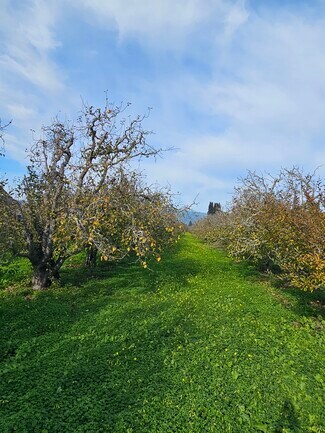 Watsonville, CA Commercial Land - 0 Varni Road