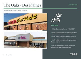 Des Plaines, IL Retail - 1515-1589 Lee St