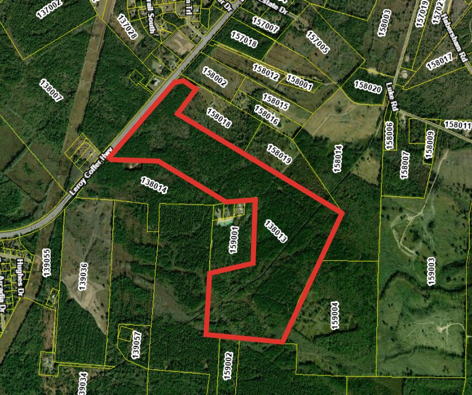262.44 AC Leroy Coffer hwy, Fleming, GA for Sale