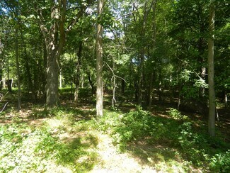 Old Lyme, CT Residential Land - 184 Shore Rd