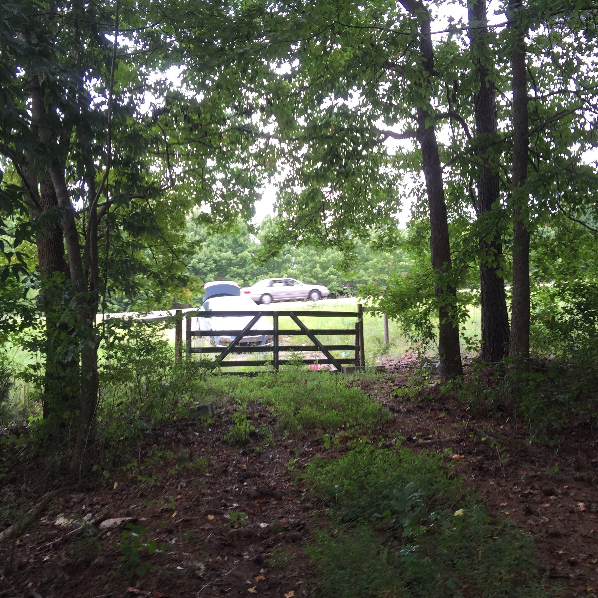 1762 Highway 78 Hwy, Grayson, GA for Sale
