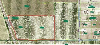 Babson Park, FL Agricultural Land - 000 Langford Rd