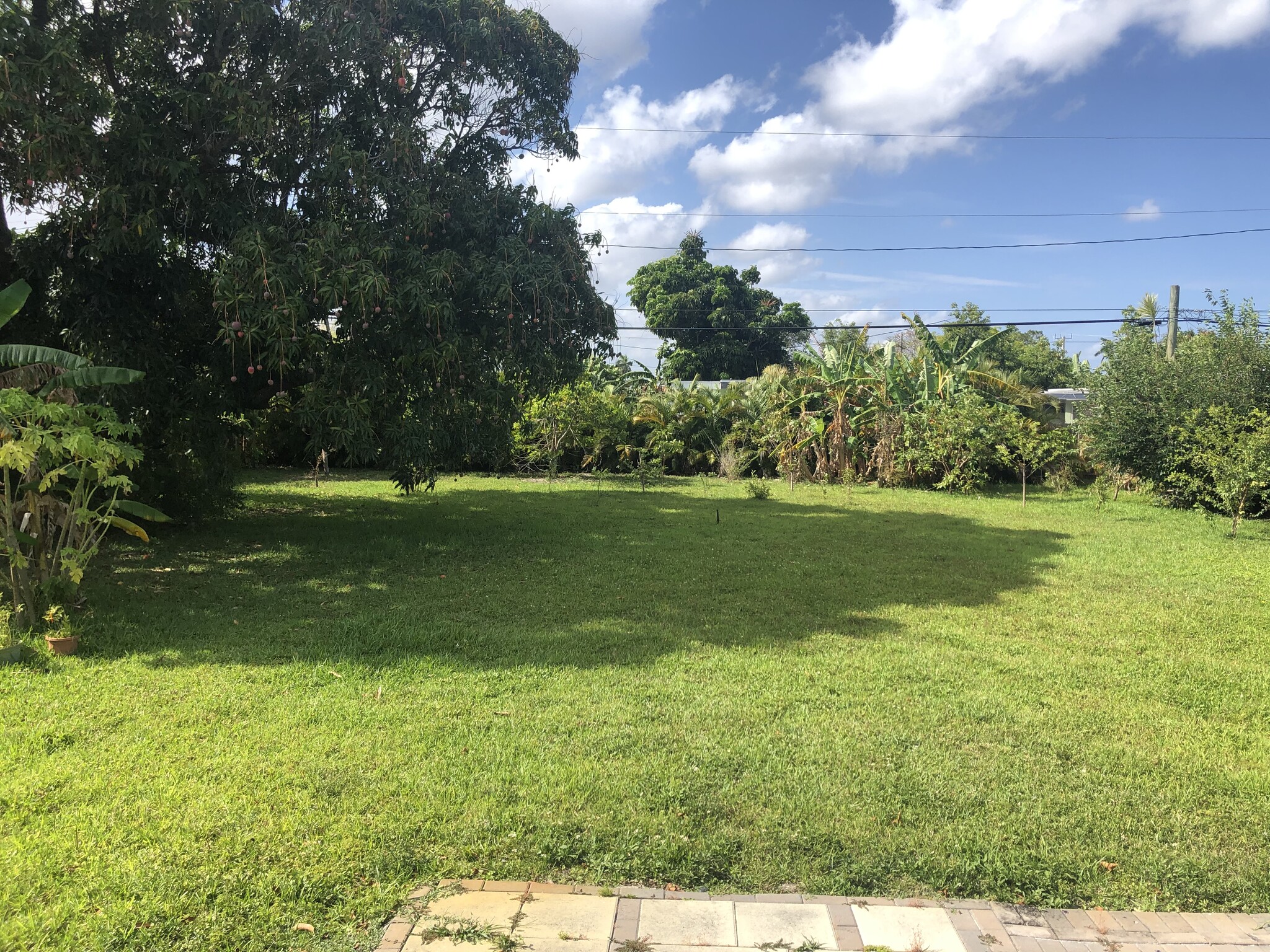 2815 Jackson St, Hollywood, FL for Sale