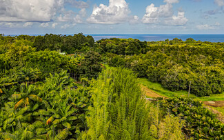 Pepeekeo, HI Agricultural - 27-2760 Hawaii Belt Rd