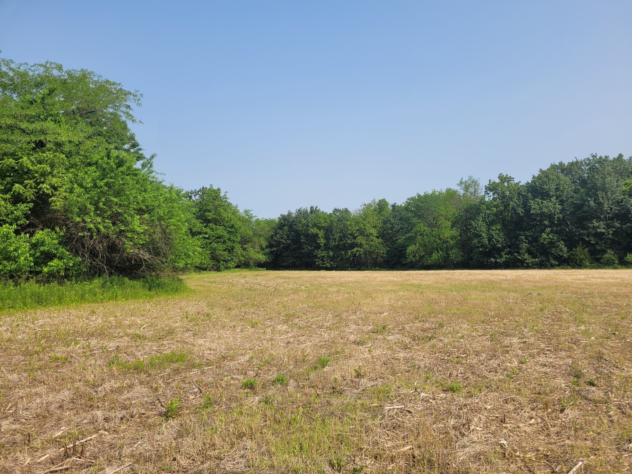 Highway 54 (6.2+/- Acres), Bowling Green, MO for Sale