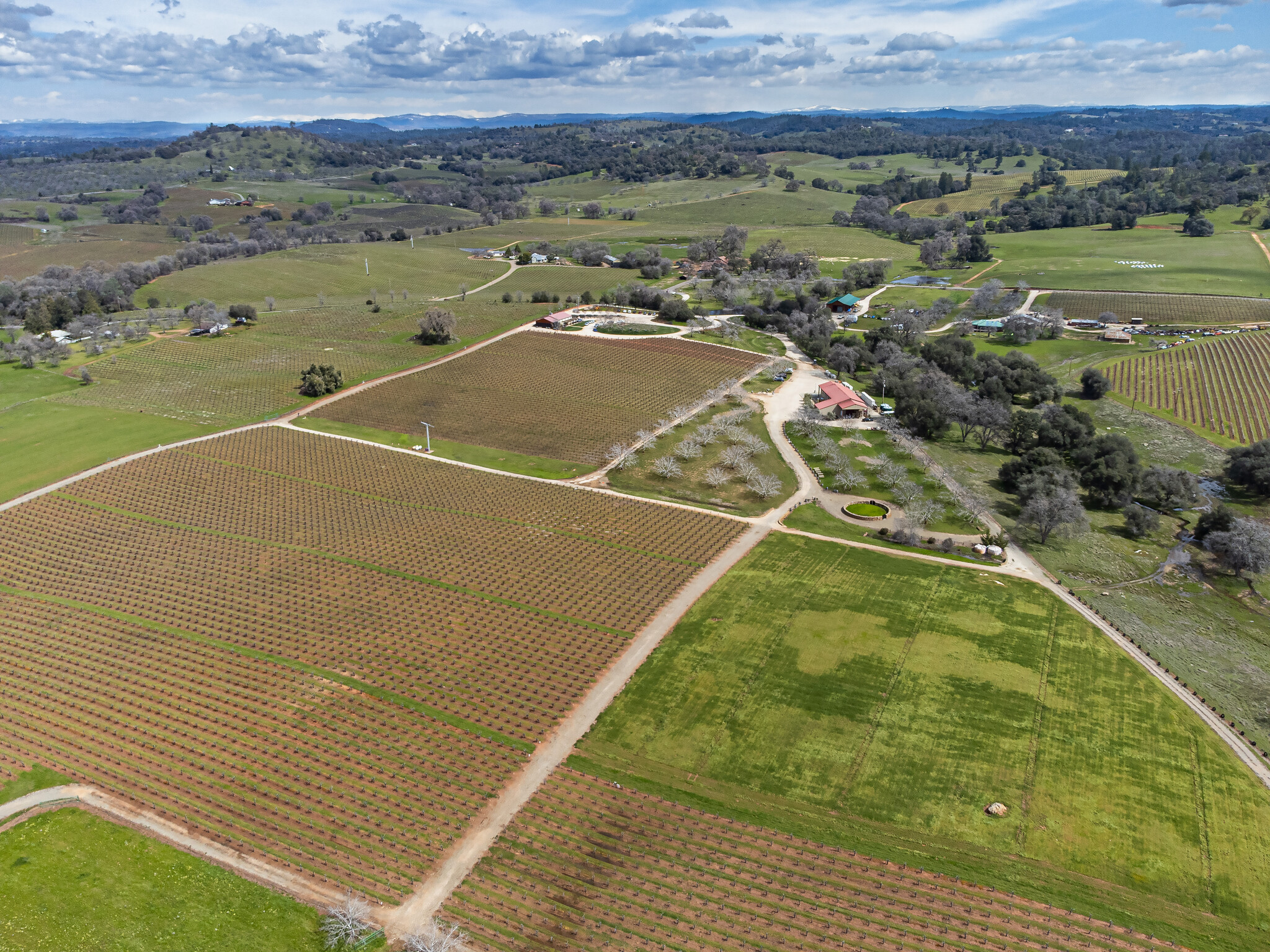 21365 Shenandoah School Rd, Plymouth, CA for Sale