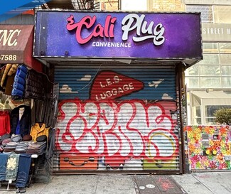 New York, NY Retail - 161 Orchard St