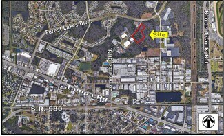 Oldsmar, FL Industrial Land - 0 Commerce