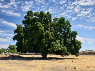 Brentwood, CA Commercial Land - 3740 Walnut Blvd