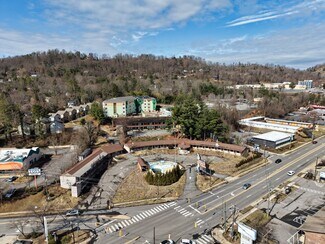 Asheville, NC undefined - 155 Tunnel Rd