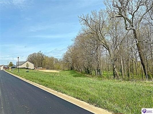 Sawgrass Ave, Vine Grove, KY for Sale