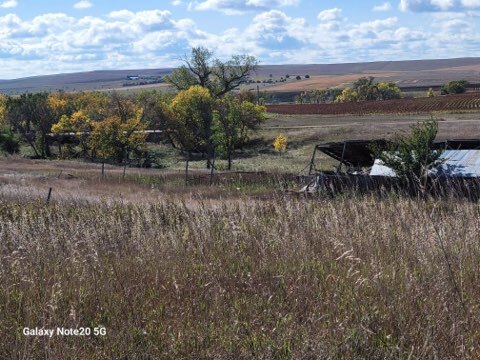 29392 239th St, Vivian, SD for Sale