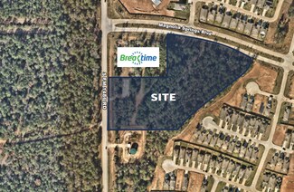 Montgomery, TX Commercial Land - Magnolia Springs