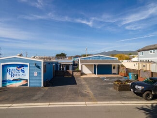 Half Moon Bay, CA Industrial - 313-323 Princeton Ave