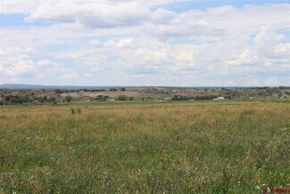 Montrose, CO Commercial - TBD 6600 Montrose, CO Commercial - TBD 6600