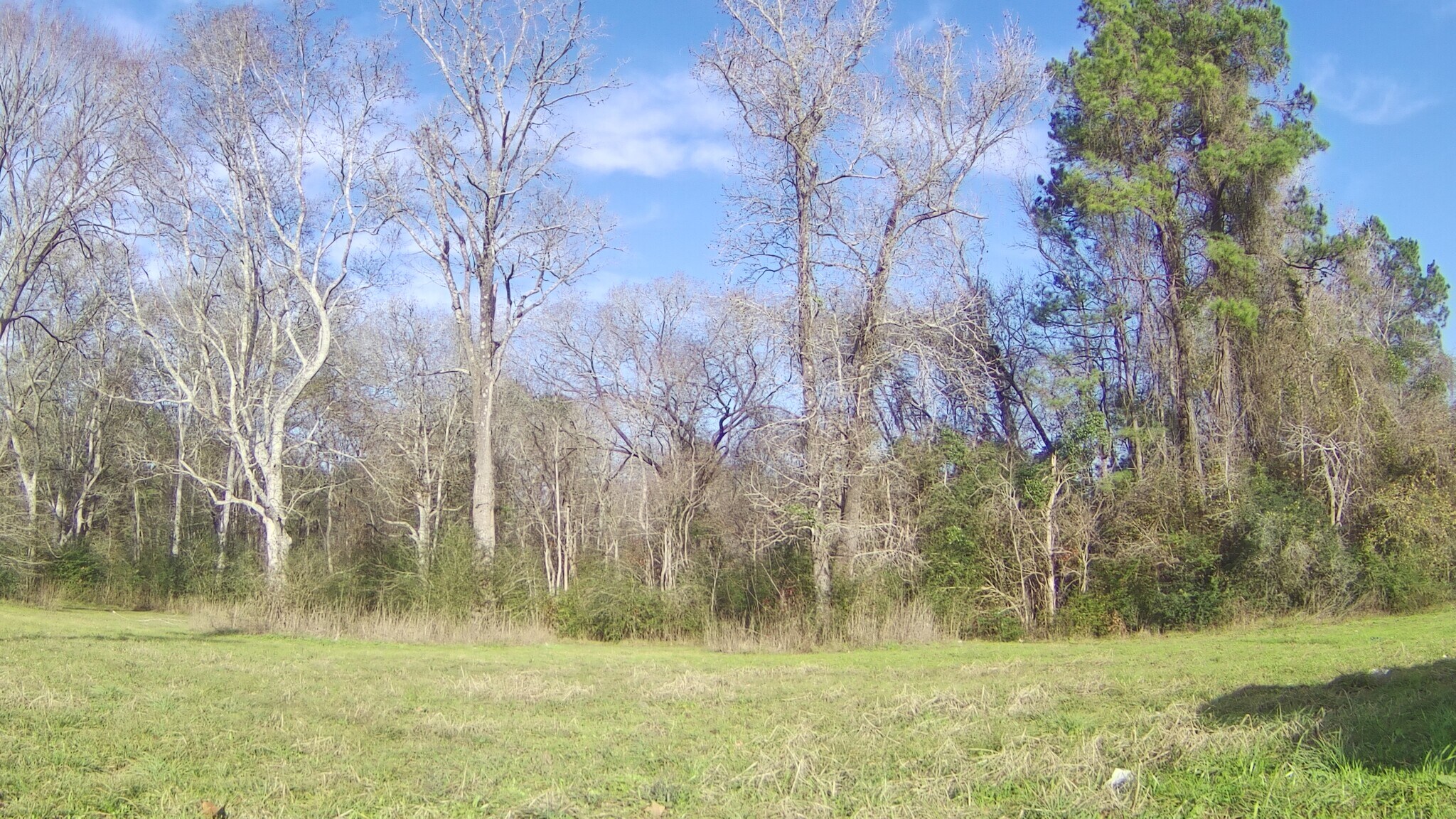 328 W FM 1988, Goodrich, TX for Sale