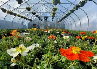 Miller Place, NY Commercial - 886 Rt-25a & Radio Ave