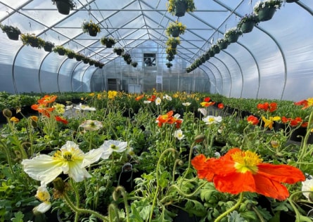 886 Rt-25a & Radio Ave, Miller Place, NY for Sale