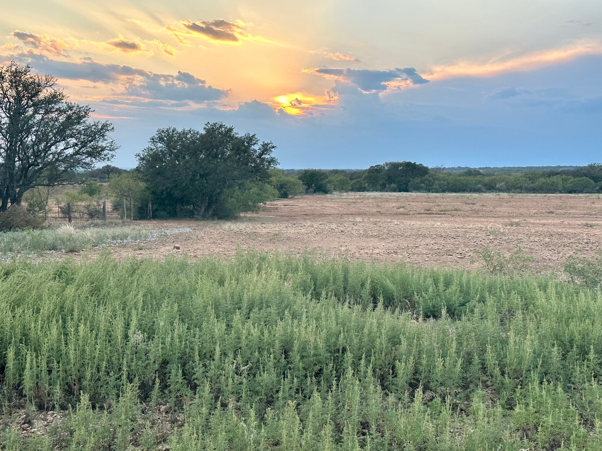 1681 FM 574 W, Mullin, TX for Sale