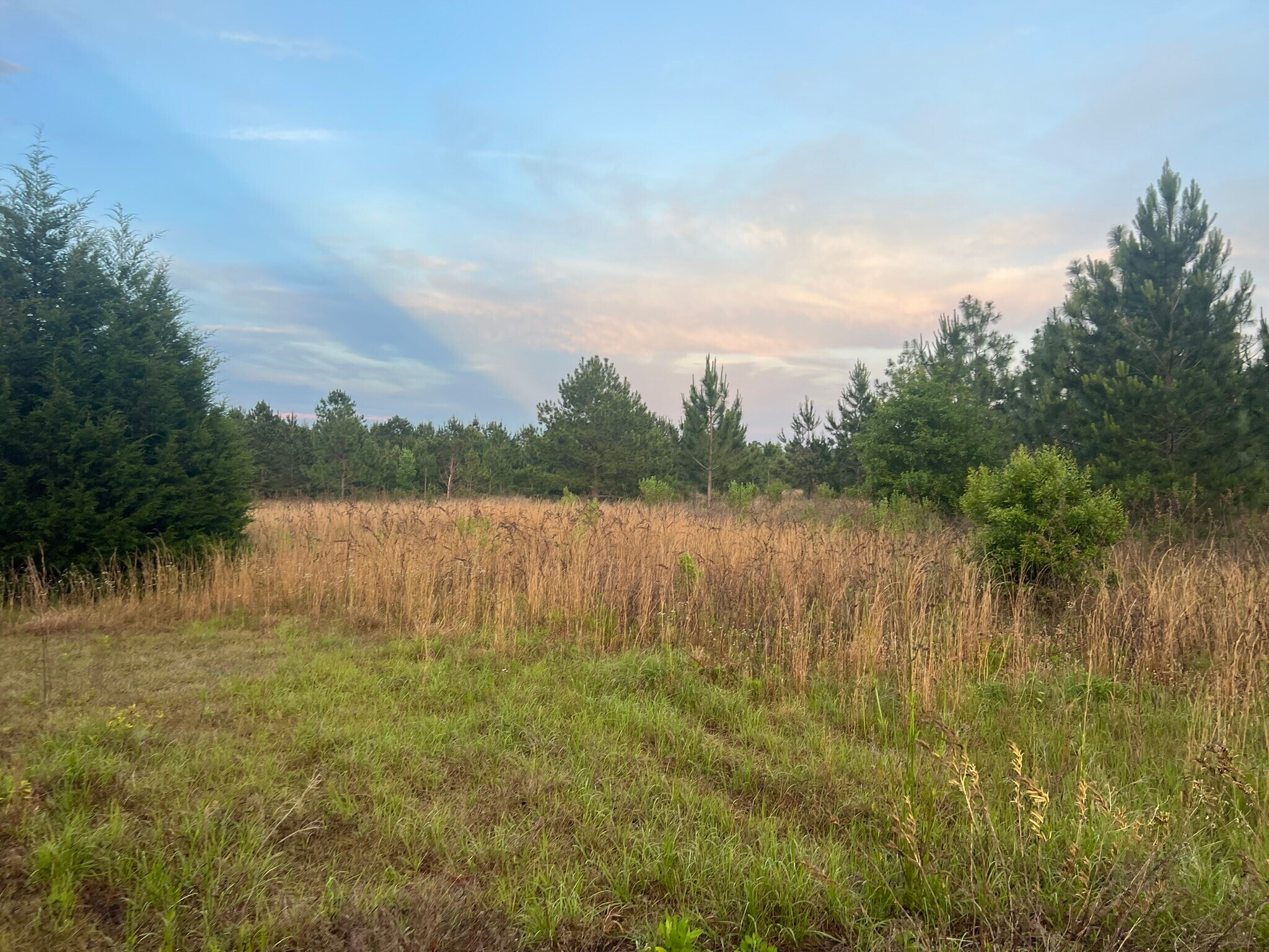 853 Giddens Rd, Ashburn, GA for Sale