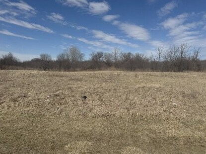 39520 N Green Bay Rd, Beach Park, IL for Sale
