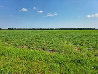 Milton, FL Residential Land - 0 Jesse Allen