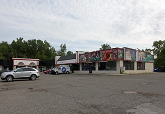 Romulus, MI Retail - 31222-31270 Ecorse Rd