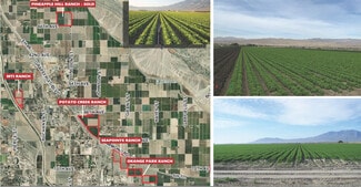 Maggio Ranches - All Or Part