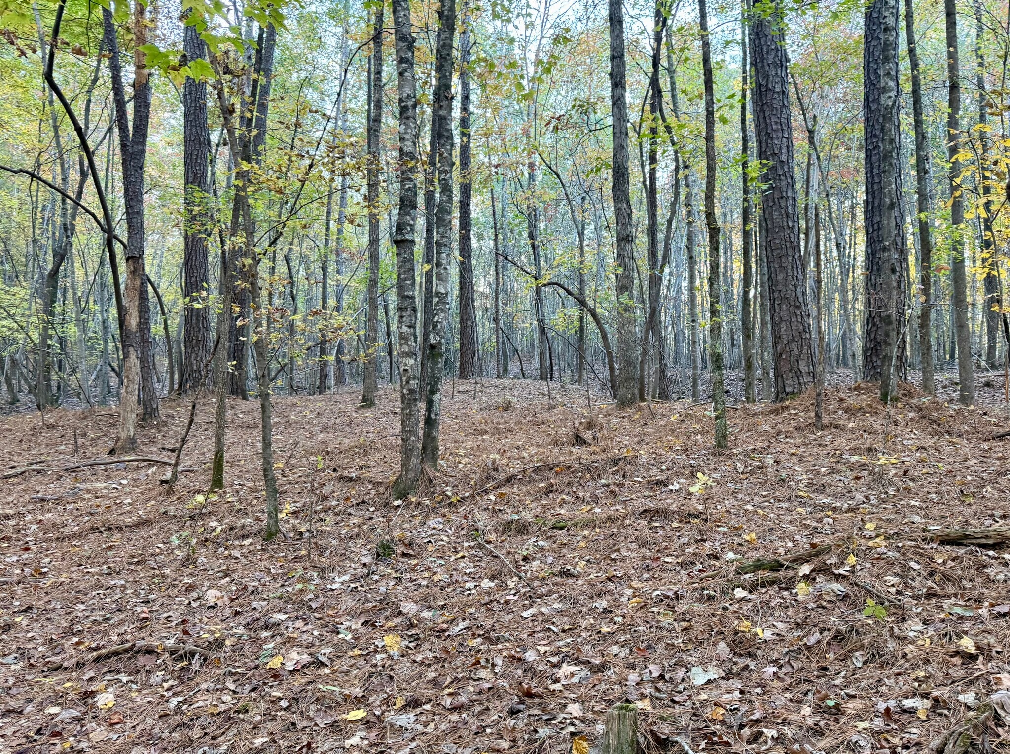 Airport Rd, Wadesboro, NC for Sale