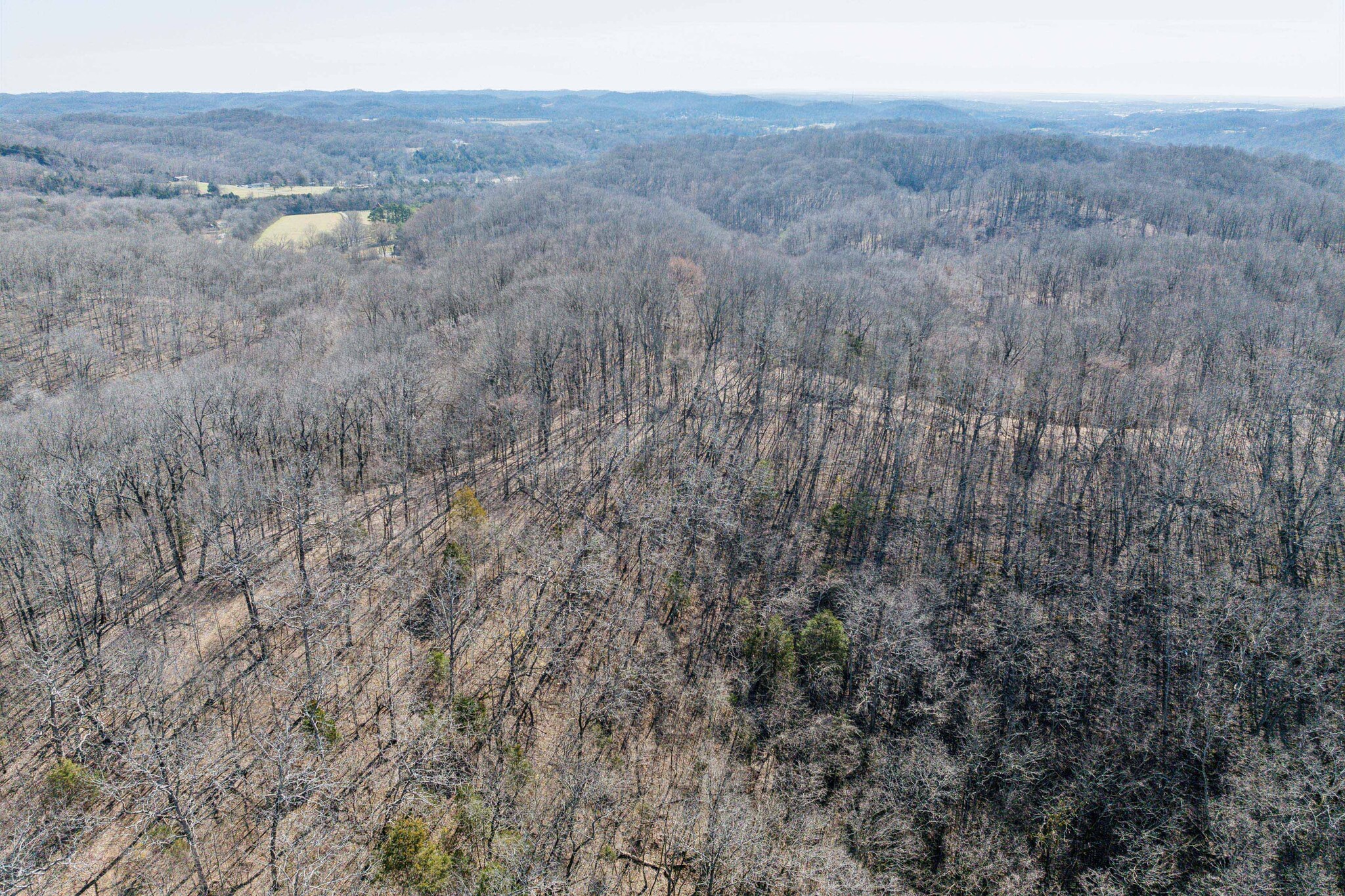 2115 Baker Station Rd, Goodlettsville, TN for Sale