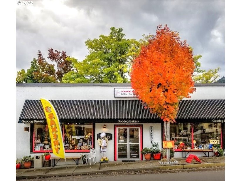 236 N Main St, Myrtle Creek, OR for Sale