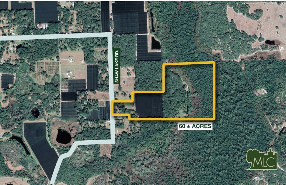 701-735 Shaw Lake Road, Pierson, FL for Sale