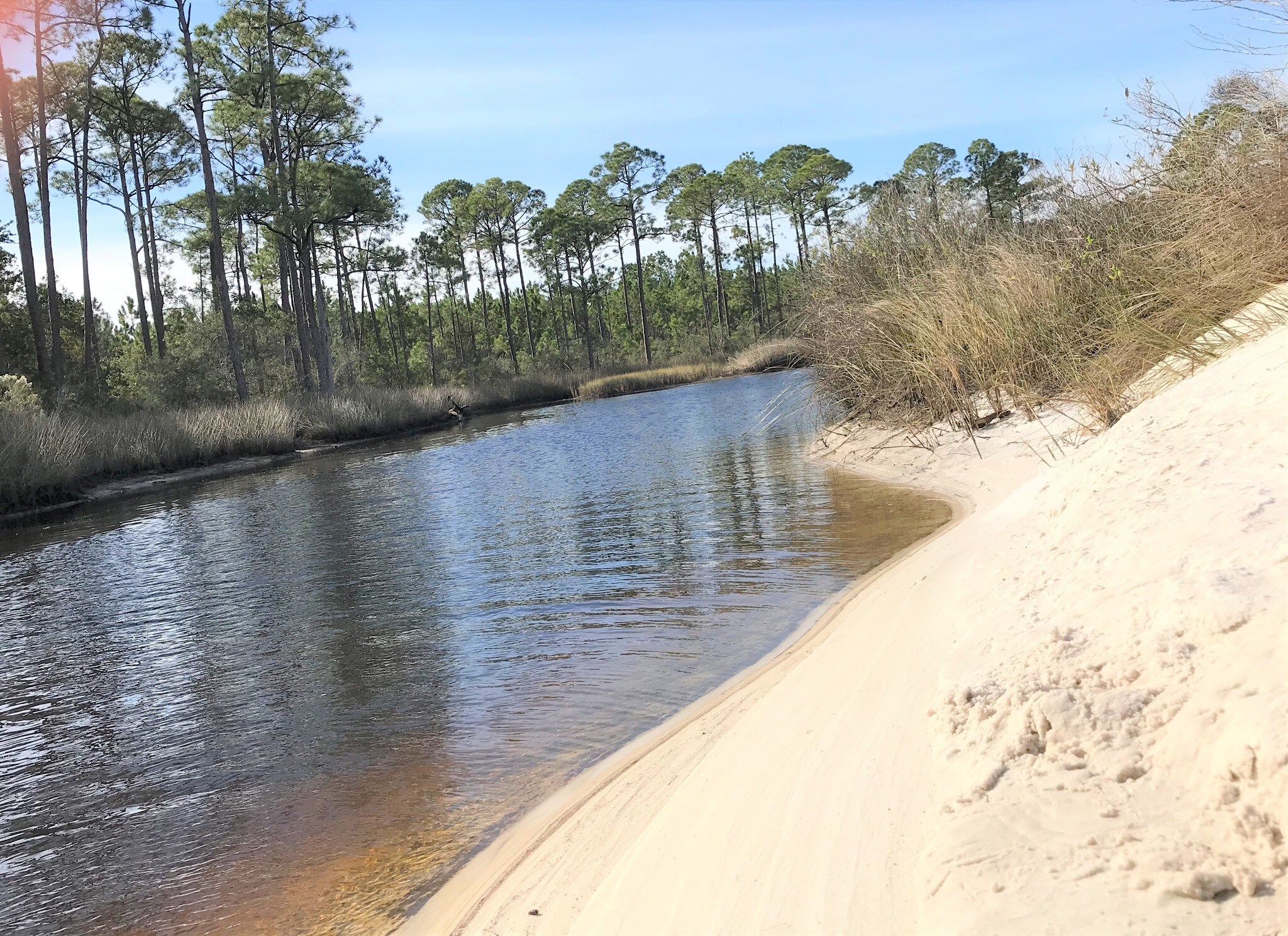 0 Clara Ave, Panama City Beach, FL for Sale