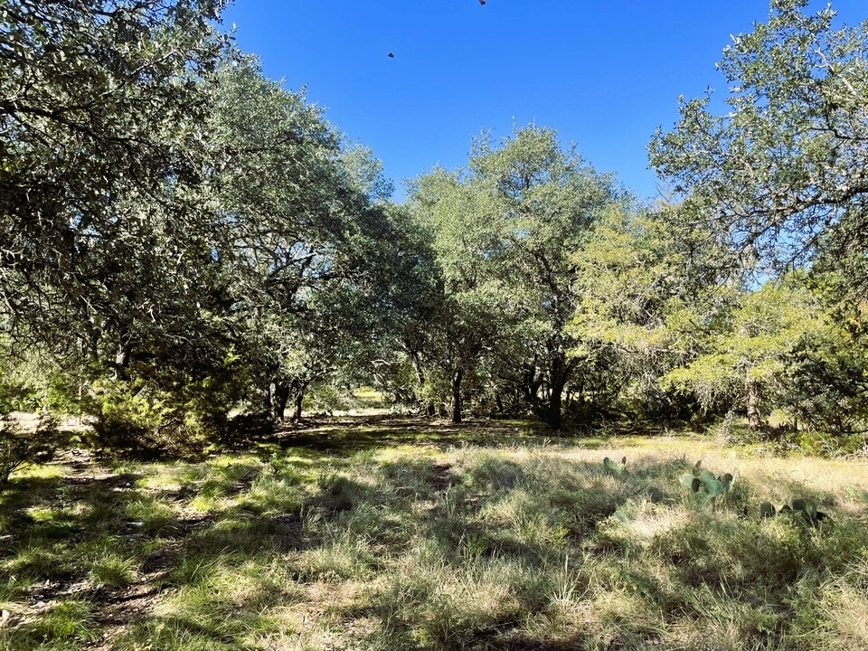 1276 Farm to Market Road 574, Mullin, TX for Sale
