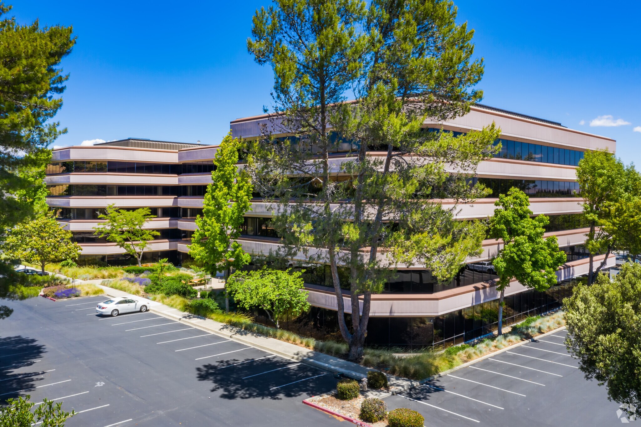 7901 Stoneridge Dr, Pleasanton, CA for Rent
