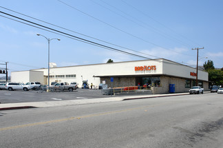 Ventura, CA Retail - 299 Borchard Dr