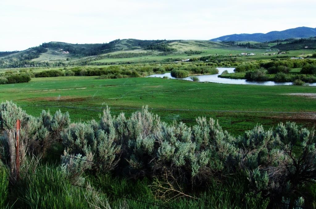 TBD S. Bailey Creek, Soda Springs, ID for Sale