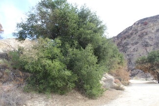 Castaic, CA Agricultural - 31029 Hasley Canyon Rd